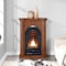 Procom Dual Fuel Ventless Gas Fireplace System - 10,000 Btu, T-Stat Contr FS100T-3AS - alternate 4